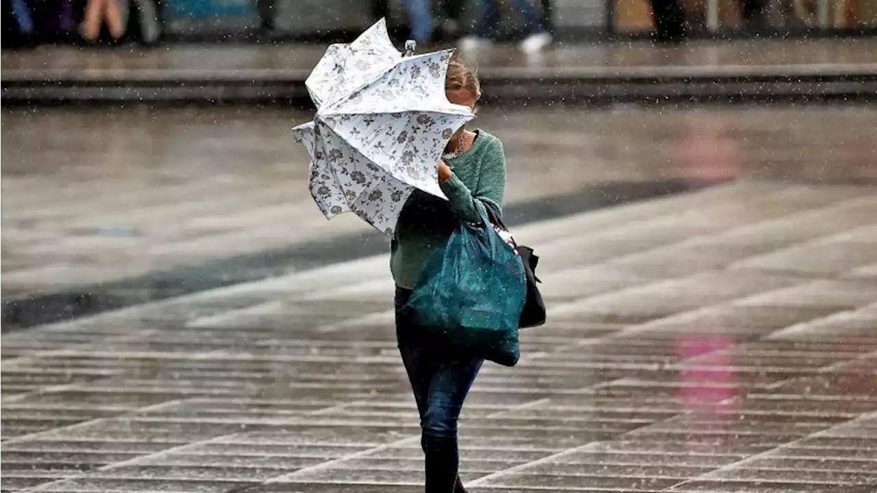 Wetter in Berlin: Warnung vor Wind- und Sturmböen