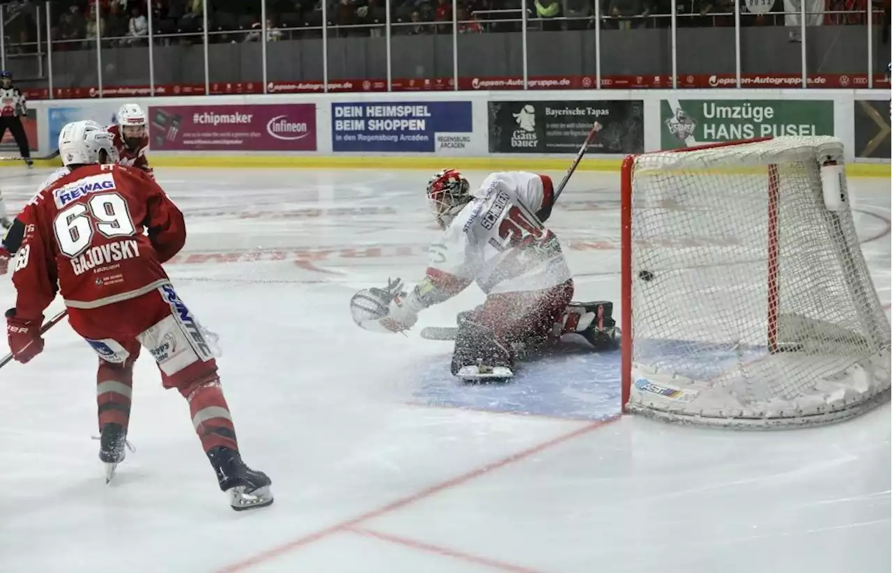 Eisbären Regensburg bezwingen Crimmitschau mit 2:0