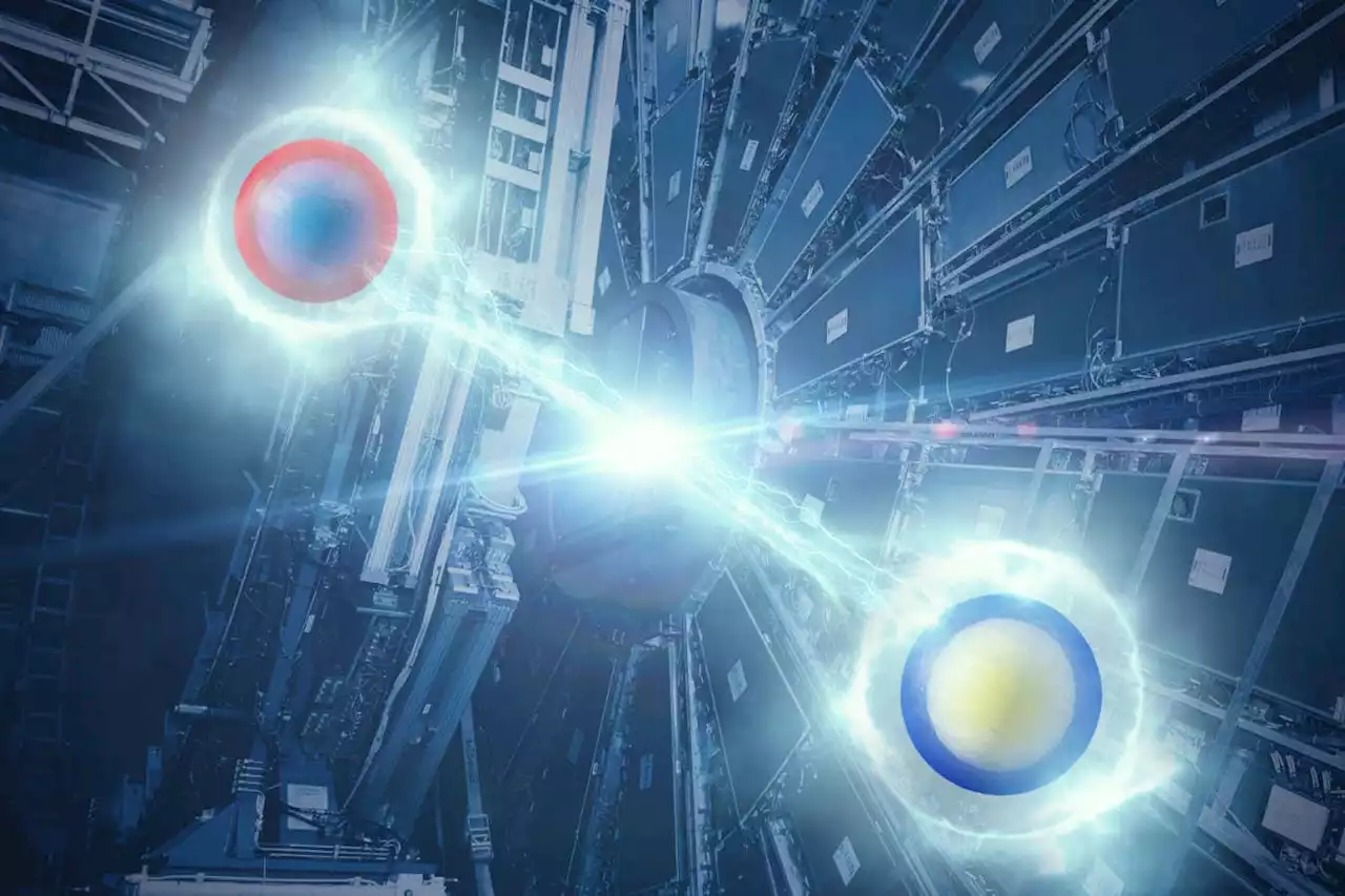 Large Hadron Collider turned into world's biggest quantum experiment