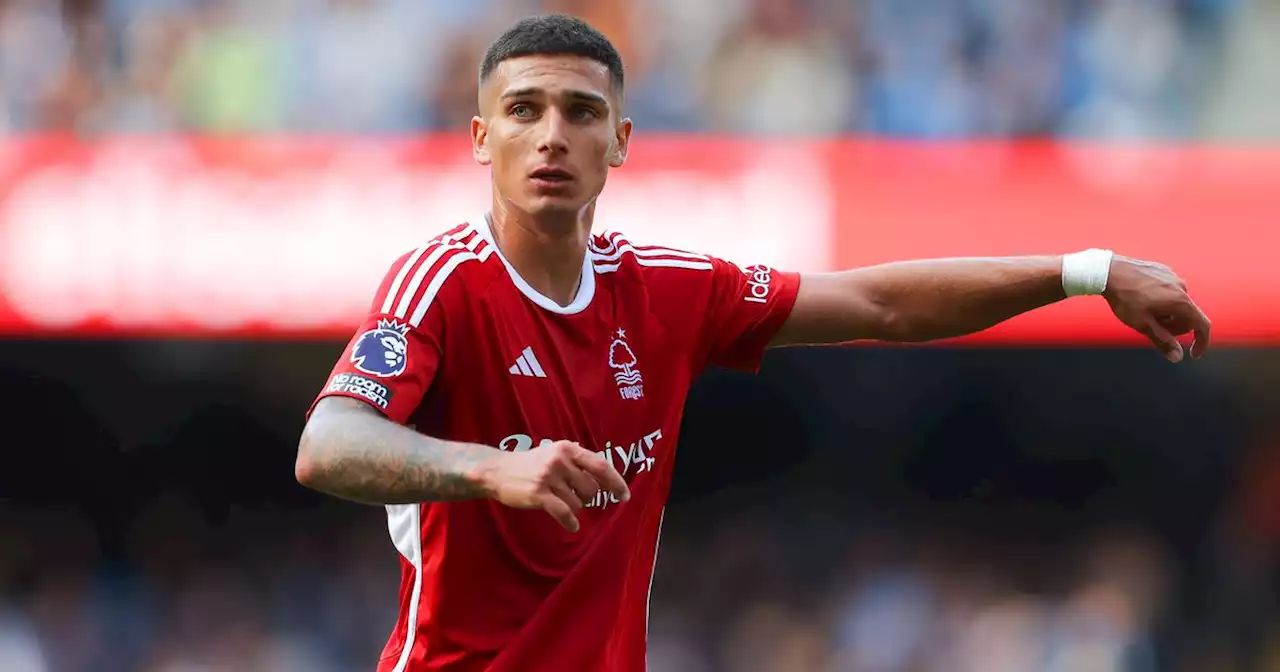 Nottingham Forest sent Chelsea message as Nicolas Dominguez impact assessed