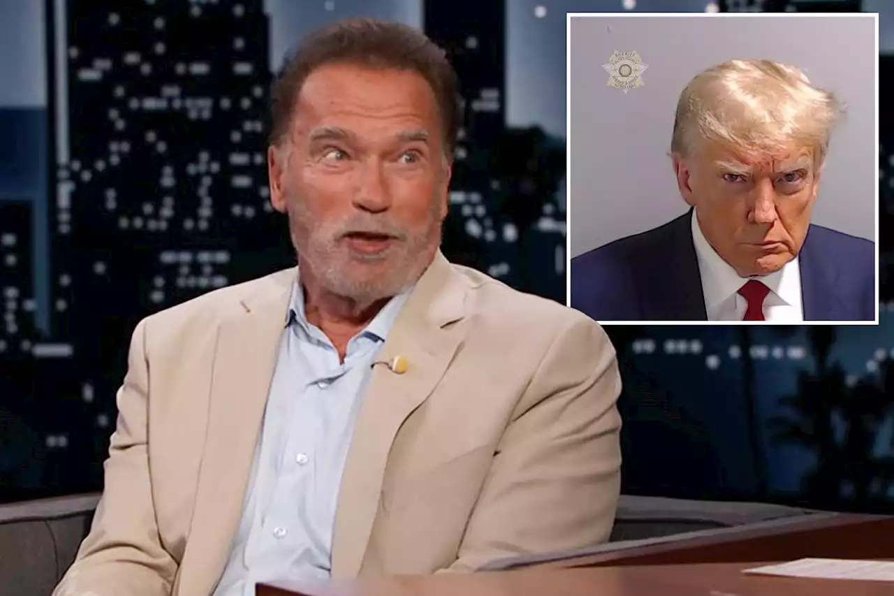 Arnold Schwarzenegger on Donald Trump’s 215-pound booking weight: ‘A little more like 315 pounds’