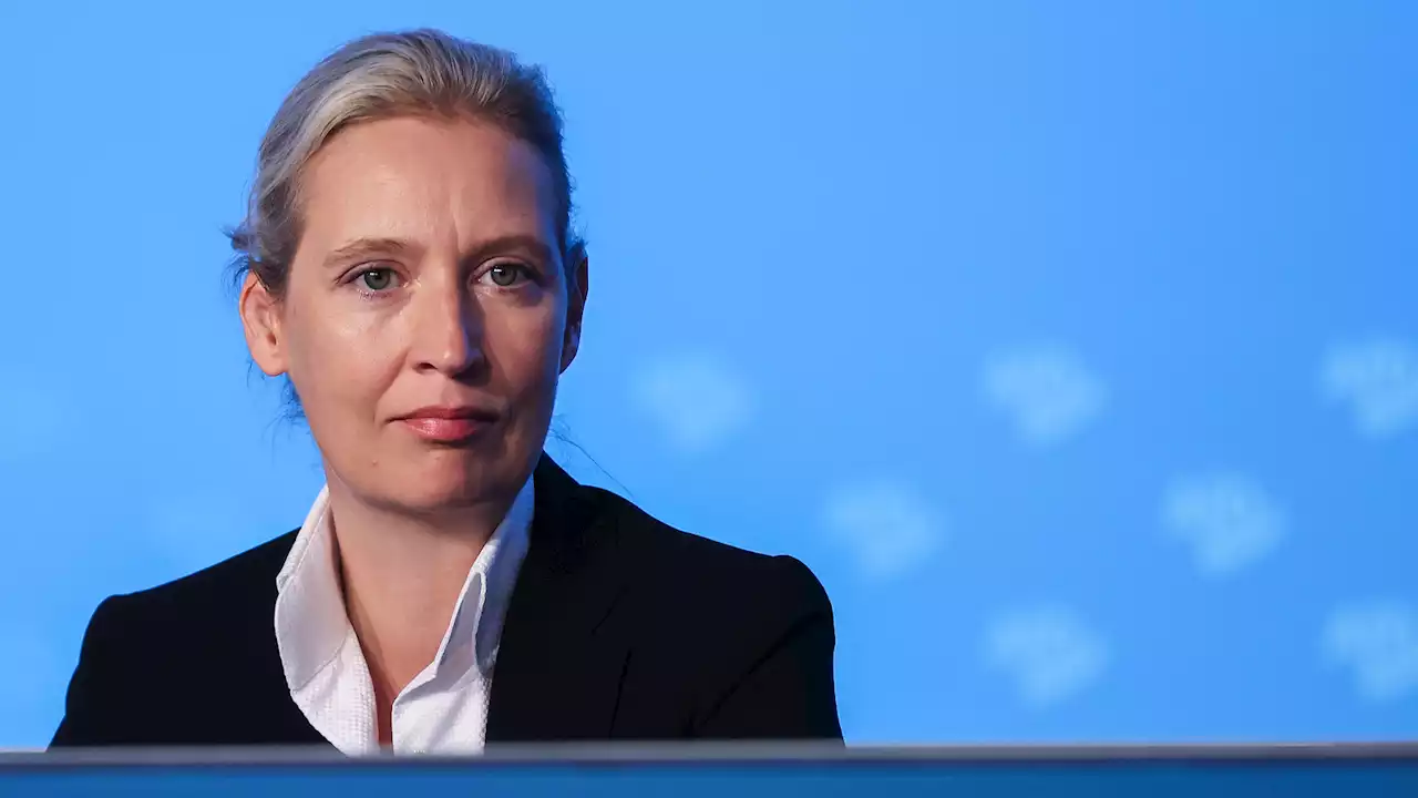 Wegen Anschlagsgefahr: AfD-Chefin Weidel sagt Auftritt ab