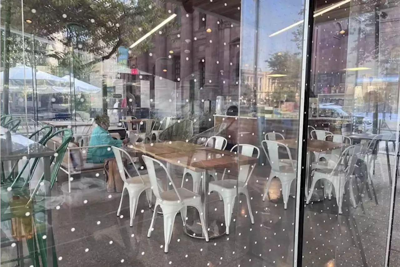 Philly’s Sister Cities Cafe is trying to save birds from fatally crashing into its windows