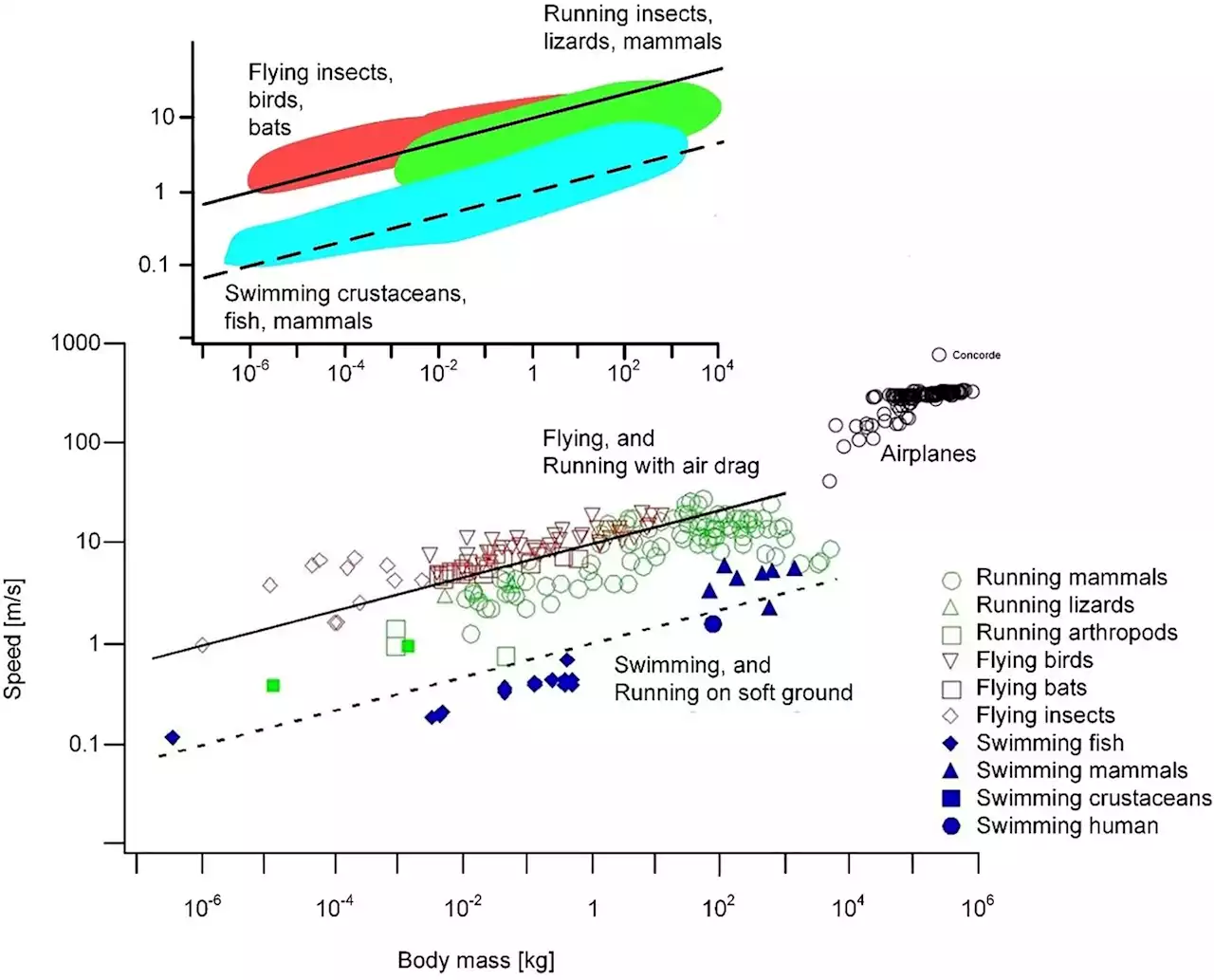 Research demonstrates the power of rhythm as a design element in evolution and robotics