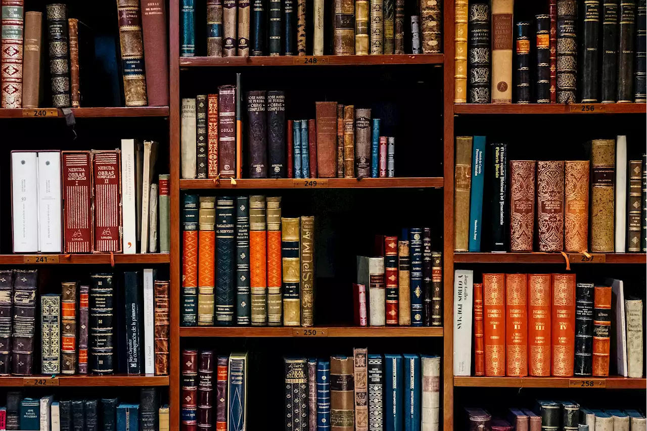 LETTER: Make libraries a priority in Newfoundland and Labrador