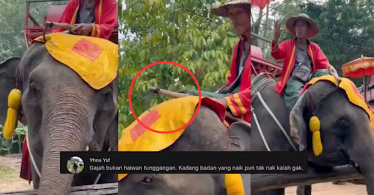 [VIDEO] Penunggang Kawal Gajah Guna Sabit, Ramai Kesian Tengok Haiwan Ini Diseksa