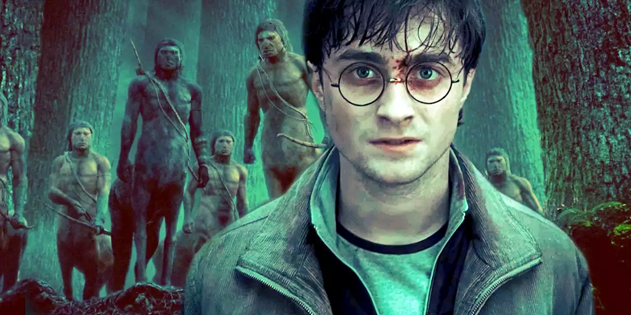 Harry Potter's Death Was Foreshadowed By One Philosopher's Stone Book Line The Movies Cut