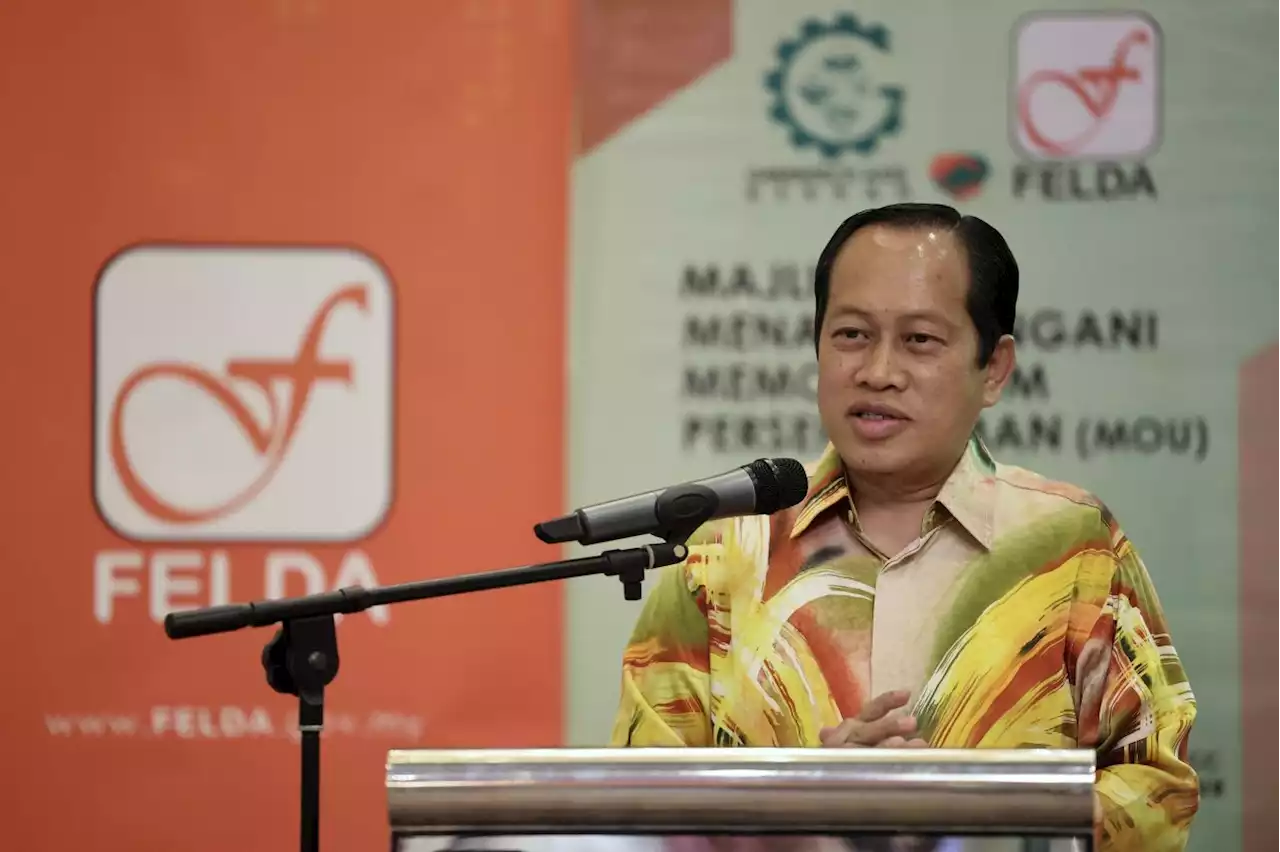 Govt coffers capable of implementing rice subsidies, says Ahmad Maslan