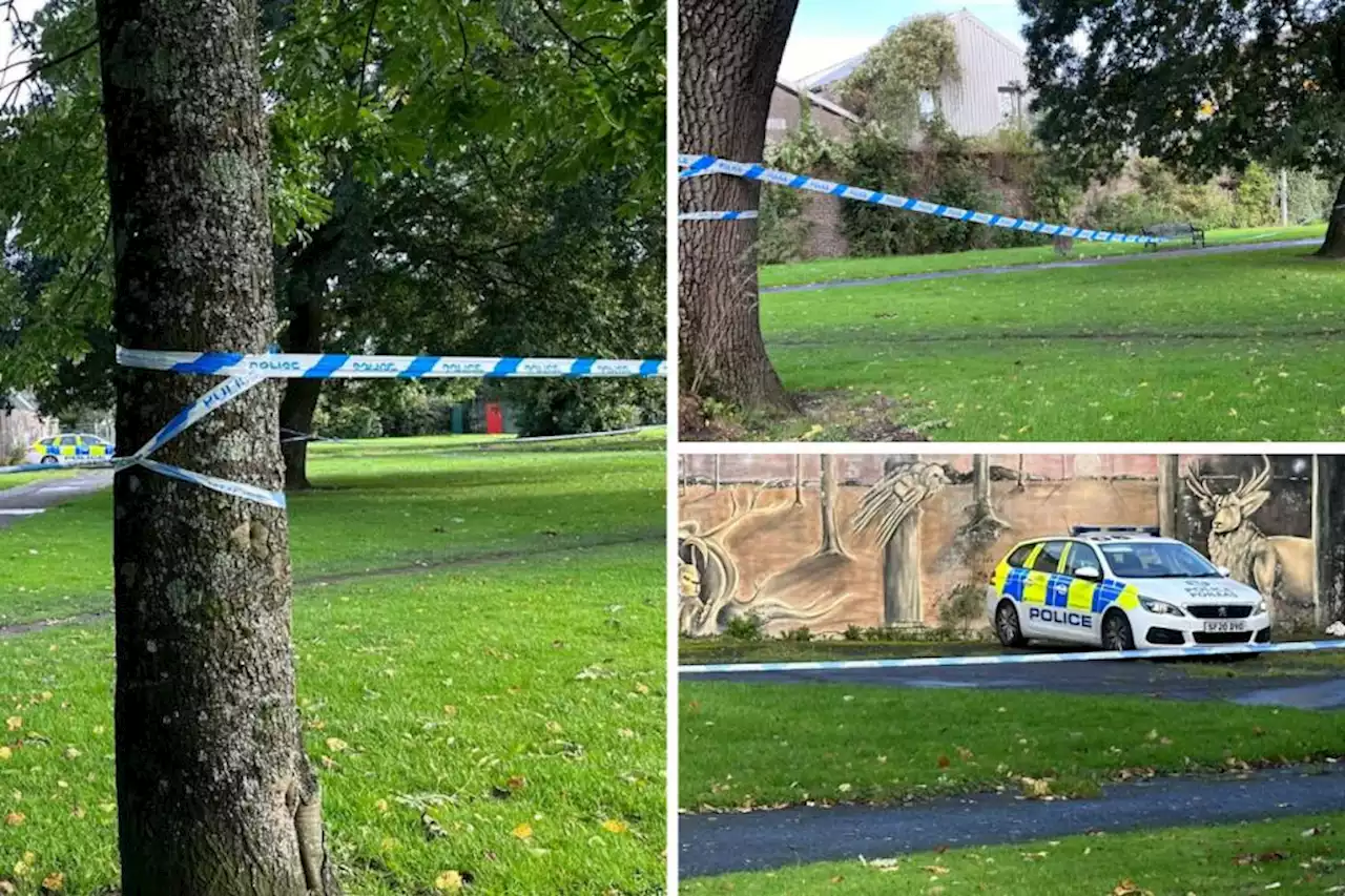 Girl, 14, 'raped' in Scottish park as police tape area off