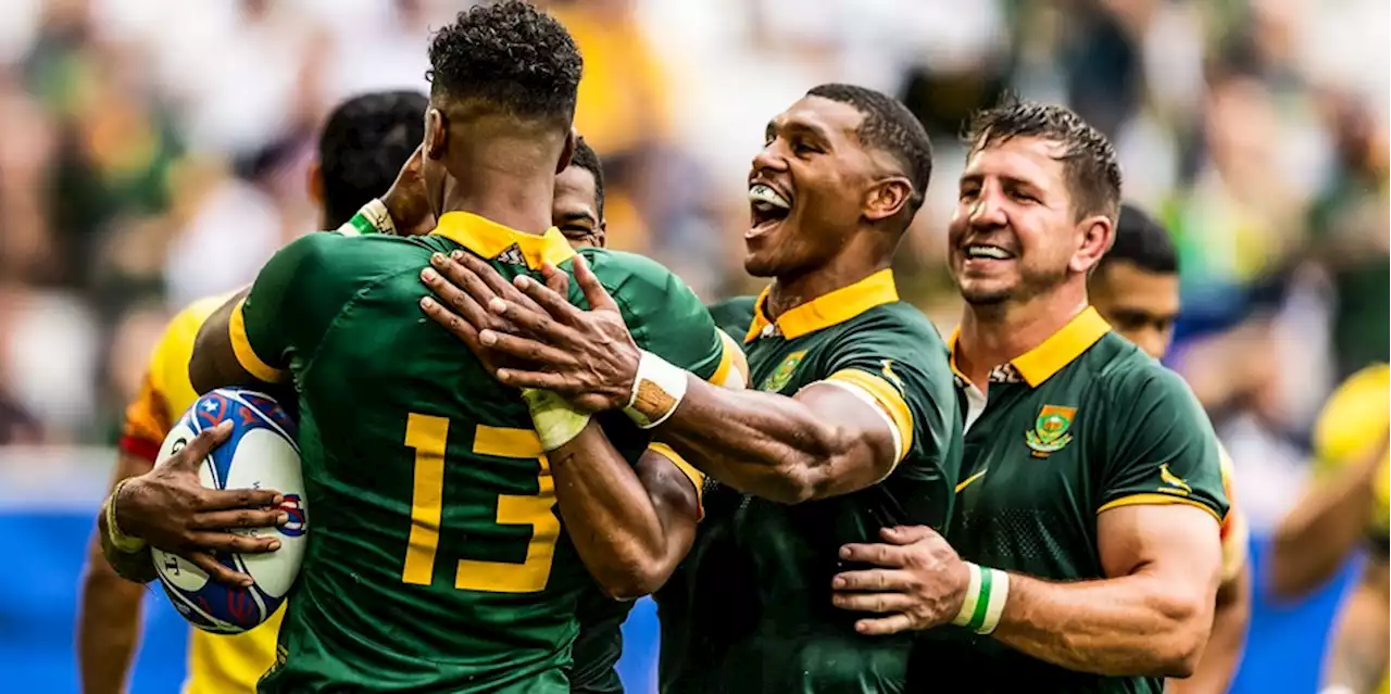 Dummy's guide: All the qualification permutations for Springboks