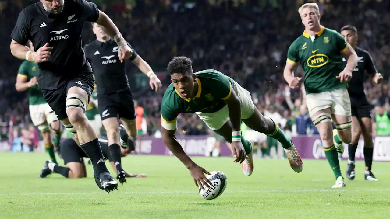 Watch: Every try scored by the Springboks against Tonga [video]