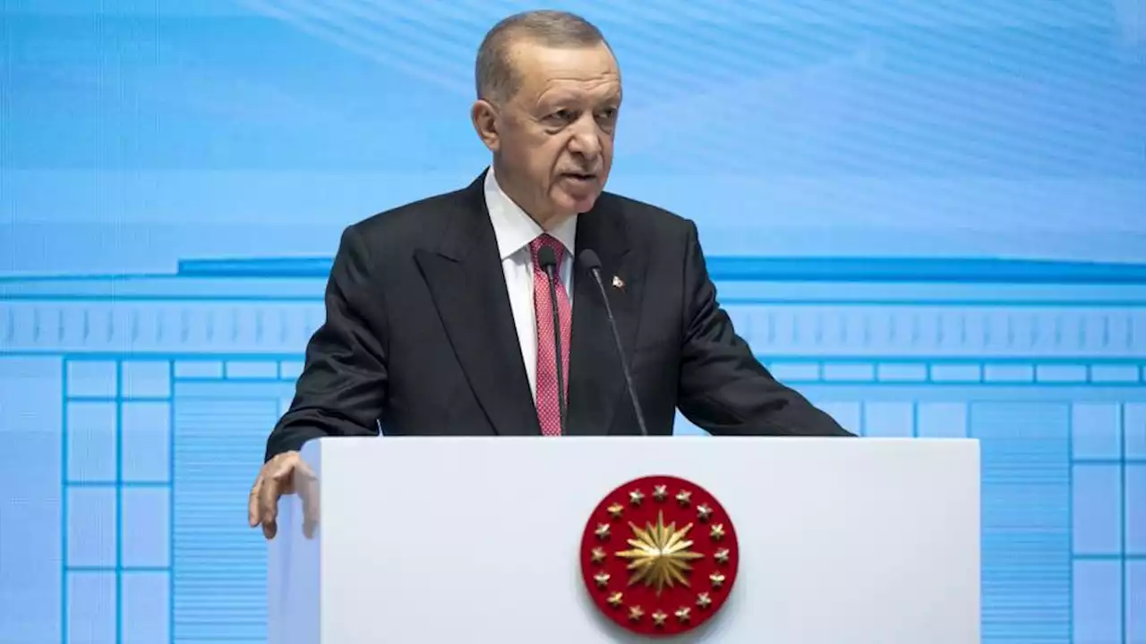 Türkiye expects concrete steps from its friends against terrorism: Erdogan