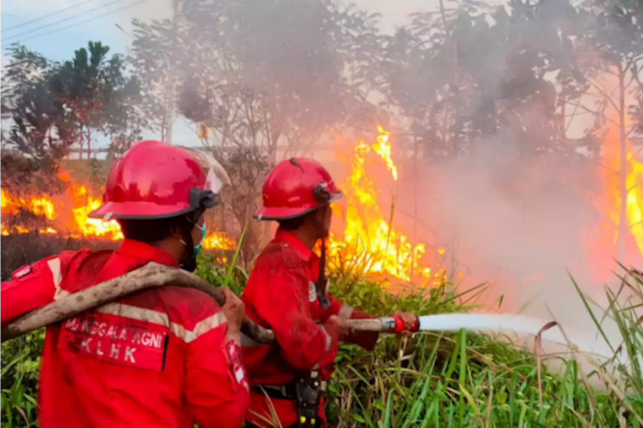 Indonesia nafi kebakaran hutan jejas kualiti udara Malaysia