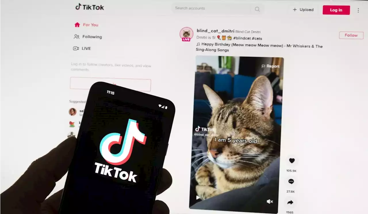 TikTok blocks Beijing critics, State Department report says