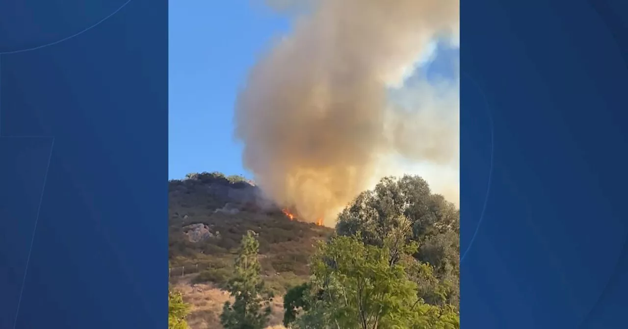 San Diego Fire Department responds to brush fire along I-15 in Rancho Bernardo