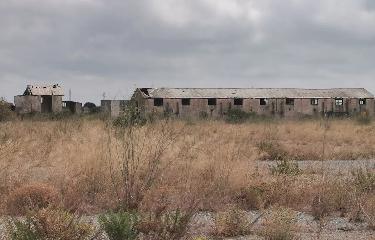 Harkis : Un cimetière « oublié » au camp de Rivesaltes, bientôt exhumé ?