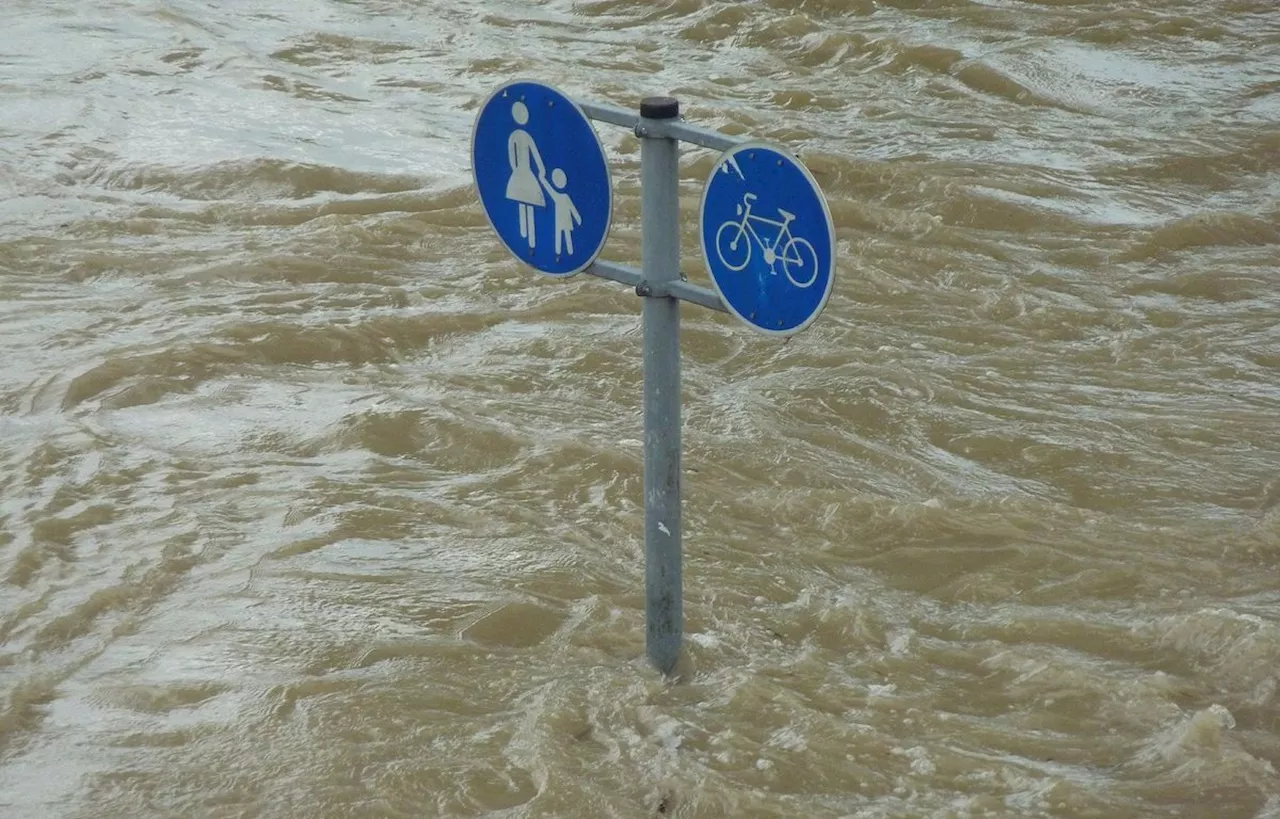 Val-de-Marne : Dans cette commune, l’évacuation des animaux en cas d’inondation est prévue