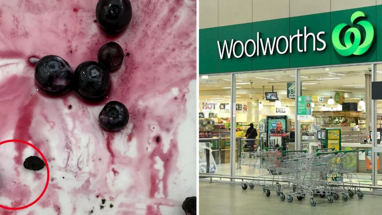 Shocking Discovery: Animal Poo Found in Bag of Frozen Blueberries