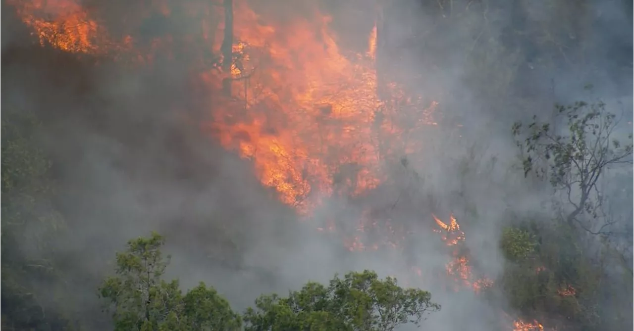 Firefighters work to contain blaze near homes south-west of Sydney