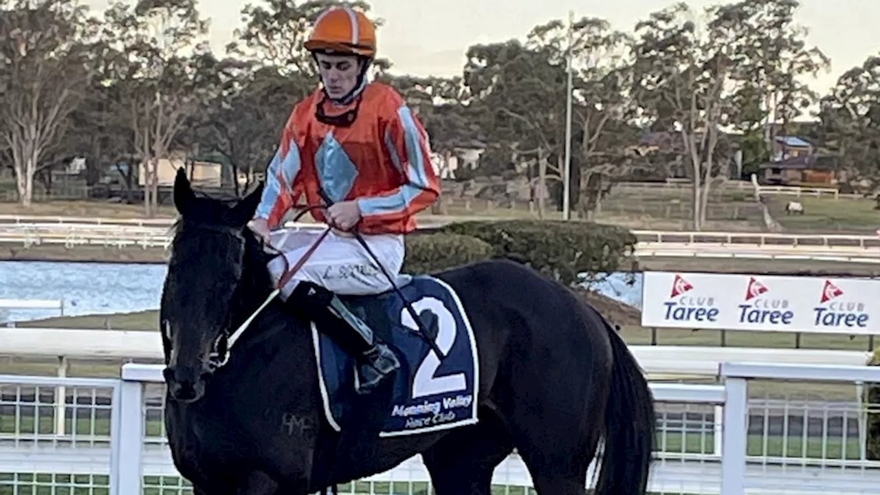 Jockey in Coma and Two Others Hospitalised After Mid-Race Collision