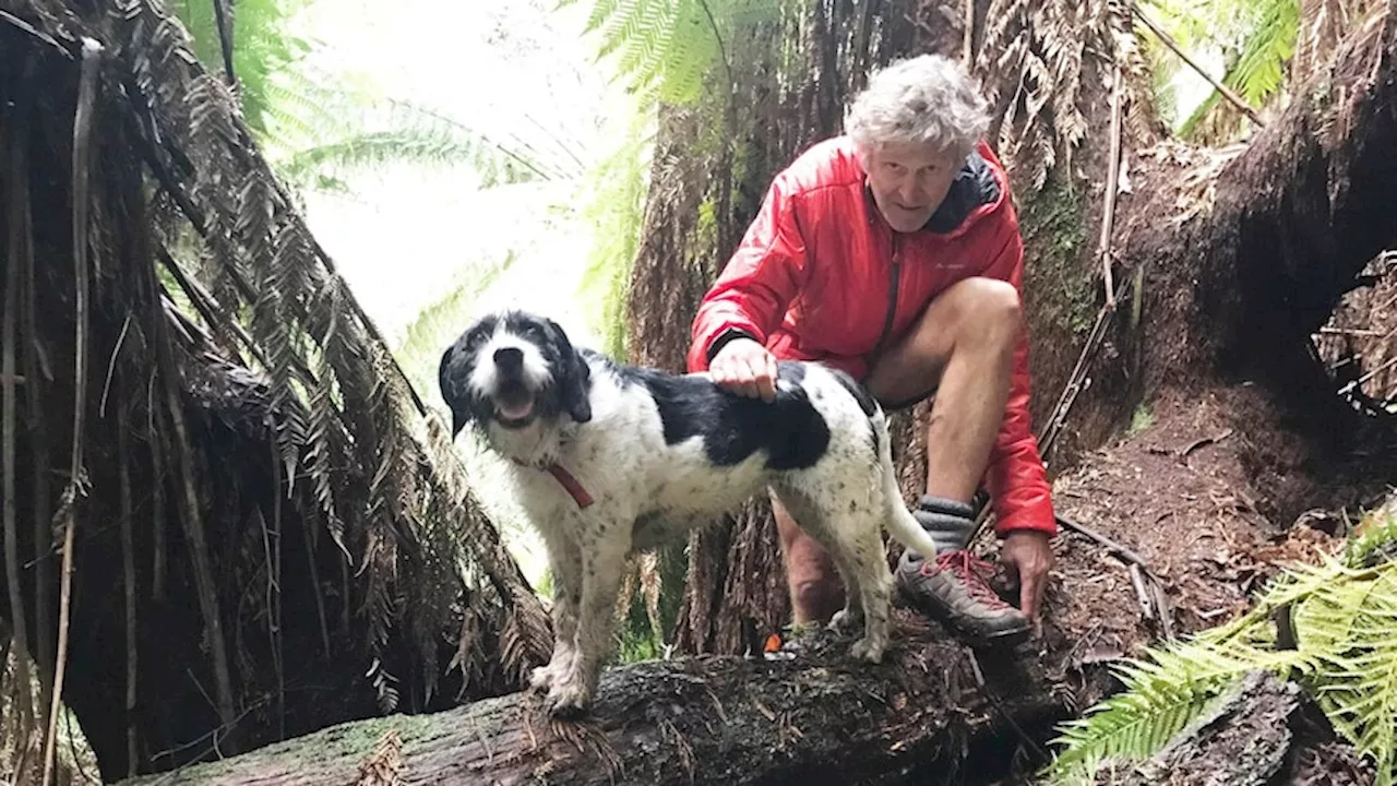 Tasmanian bushwalker Bruce Fairfax went missing six years ago, but now police open criminal investigation