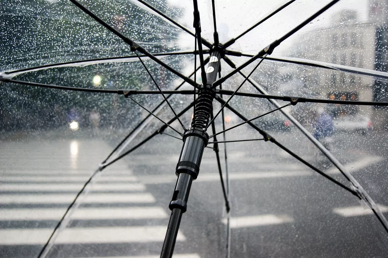 Tempête Ciarán : des vents à 90 km/h attendus sur les Yvelines !