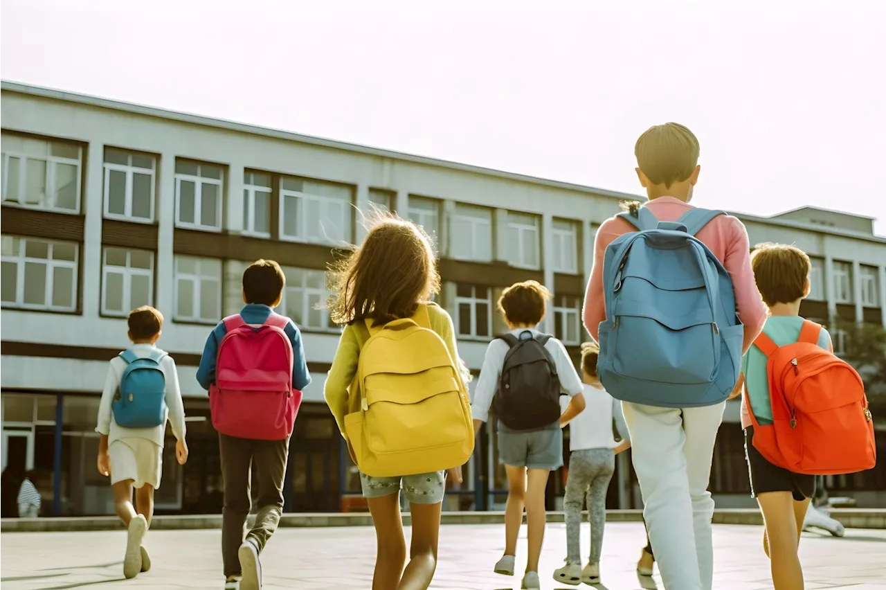 Scuola, in ultimi 10 anni 100 suicidi tra gli insegnanti