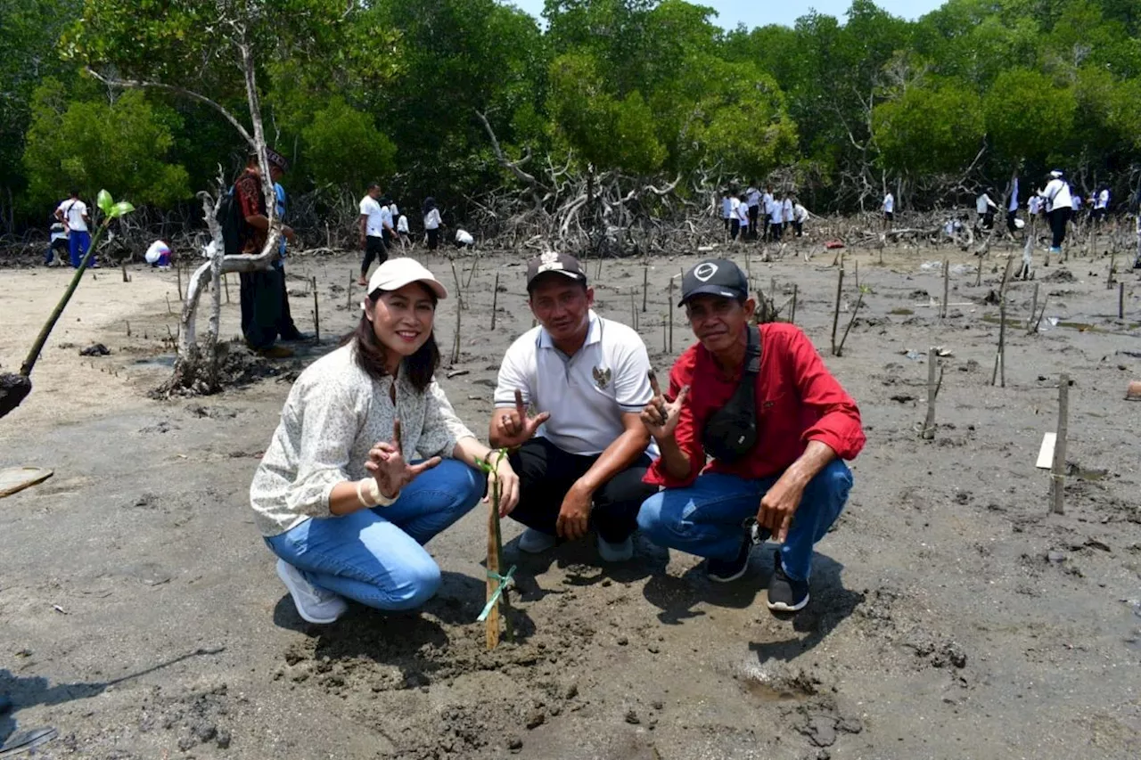 DKPP Manggarai Barat hijaukan kawasan wisata Golo Mori Labuan Bajo