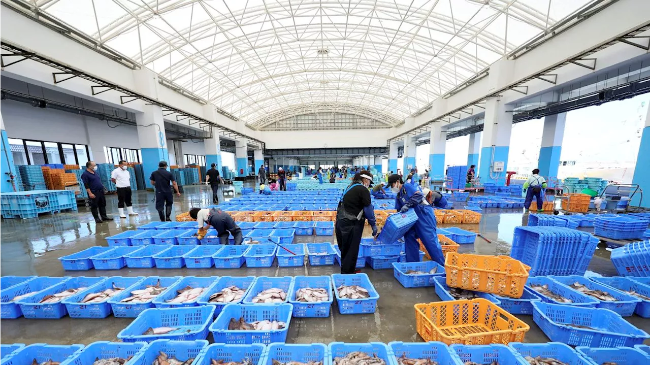 U.S. military bulk buying Japan's seafood to counter China import ban