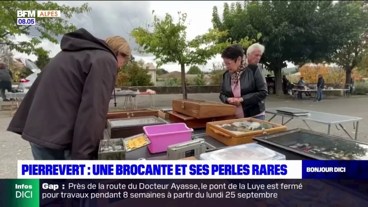 Alpes-de-Haute-Provence: à Pierrevert, une brocante pleine de perles rares