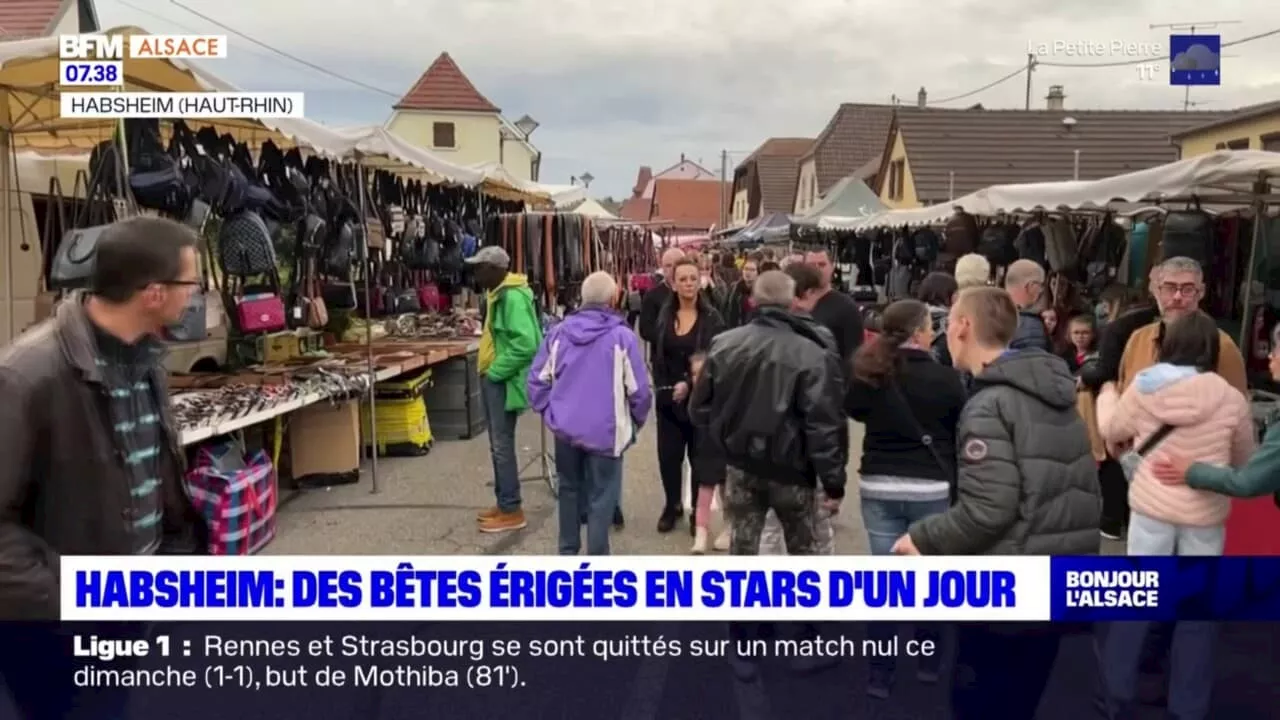 Haut-Rhin: dernier jour de la foire Simon et Jude à Habsheim