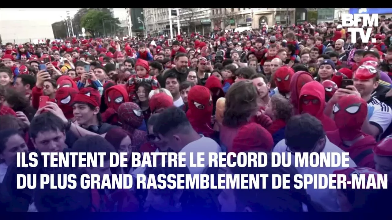 Ils tentent de battre le record du monde du plus grand rassemblement de Spider-Man