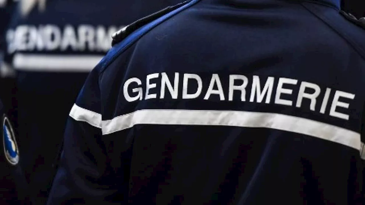 Val-d'Oise: un gendarme tue ses trois enfants avant de se suicider