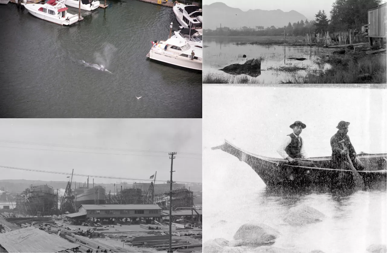 5 things you (probably) didn't know about Vancouver's False Creek