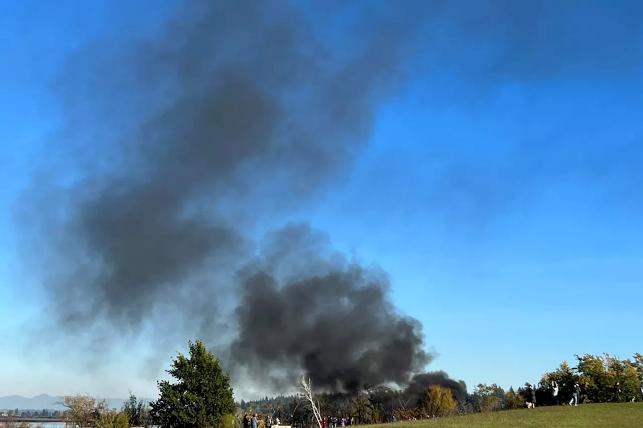 Small Plane Crashes in Surrey, One Person Injured