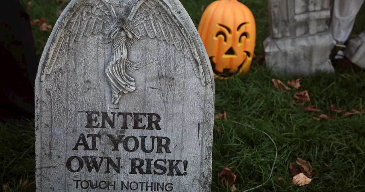 On Call with Dr. Kumar: Breaking down the science behind a good Halloween scare