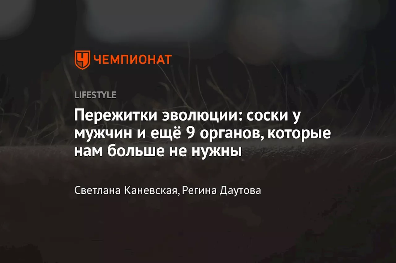 Пережитки эволюции: cоски у мужчин и ещё 9 органов, которые нам больше не нужны