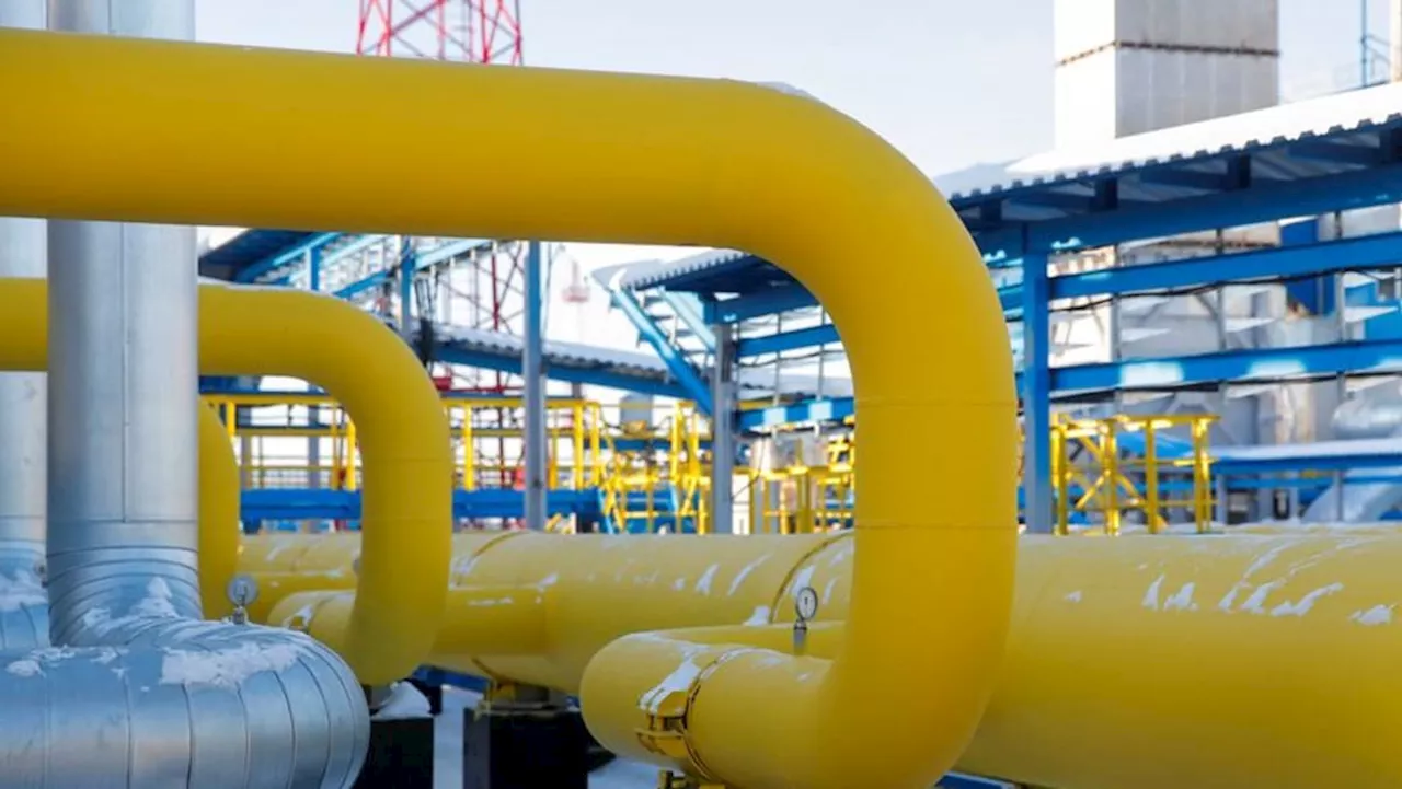 Analysis:Russia's weaker hand undermines case for Power of Siberia 2 gas link to China