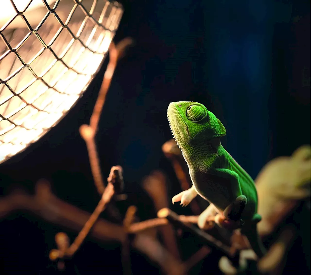 Spannendes Taschenlampen-Erlebnis in der Biosphäre Potsdam