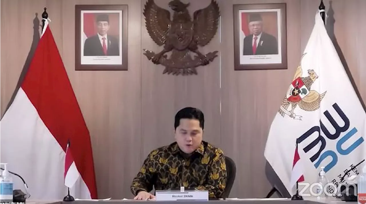 Gantikan Luhut, Erick Thohir Bicara Soal Satgas Sawit