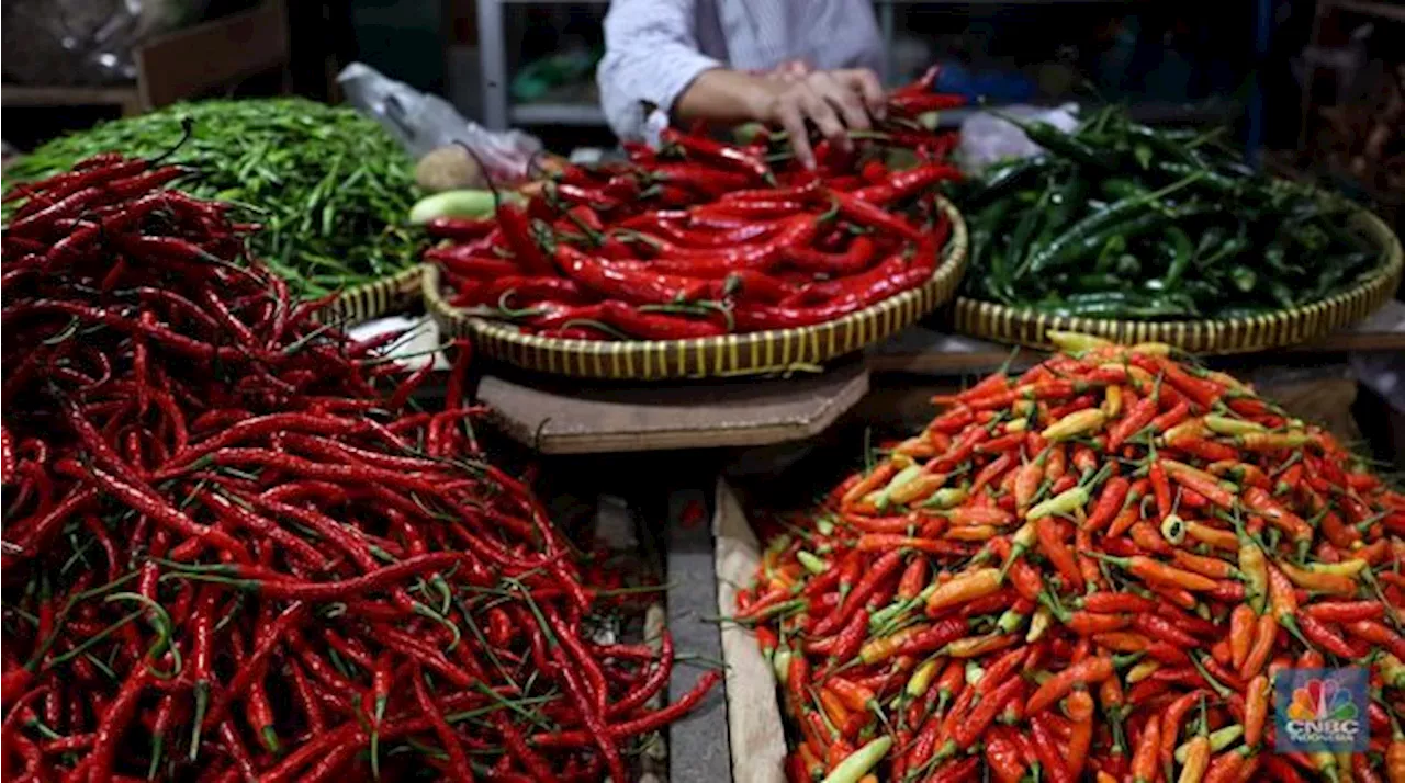 Harga Cabai Rawit Merah Terbang ke Rp100.000, Ini Kata Mentan