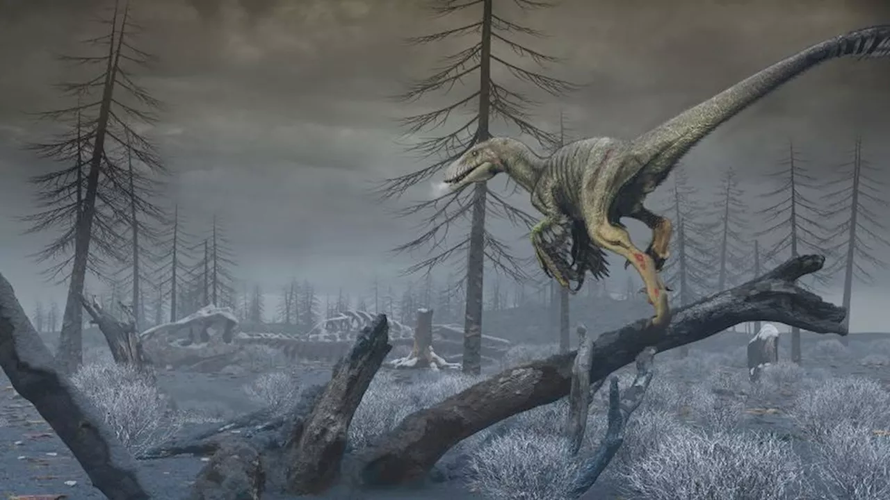 Asteroid that doomed the dinosaurs halted a key process for life on Earth, scientists say