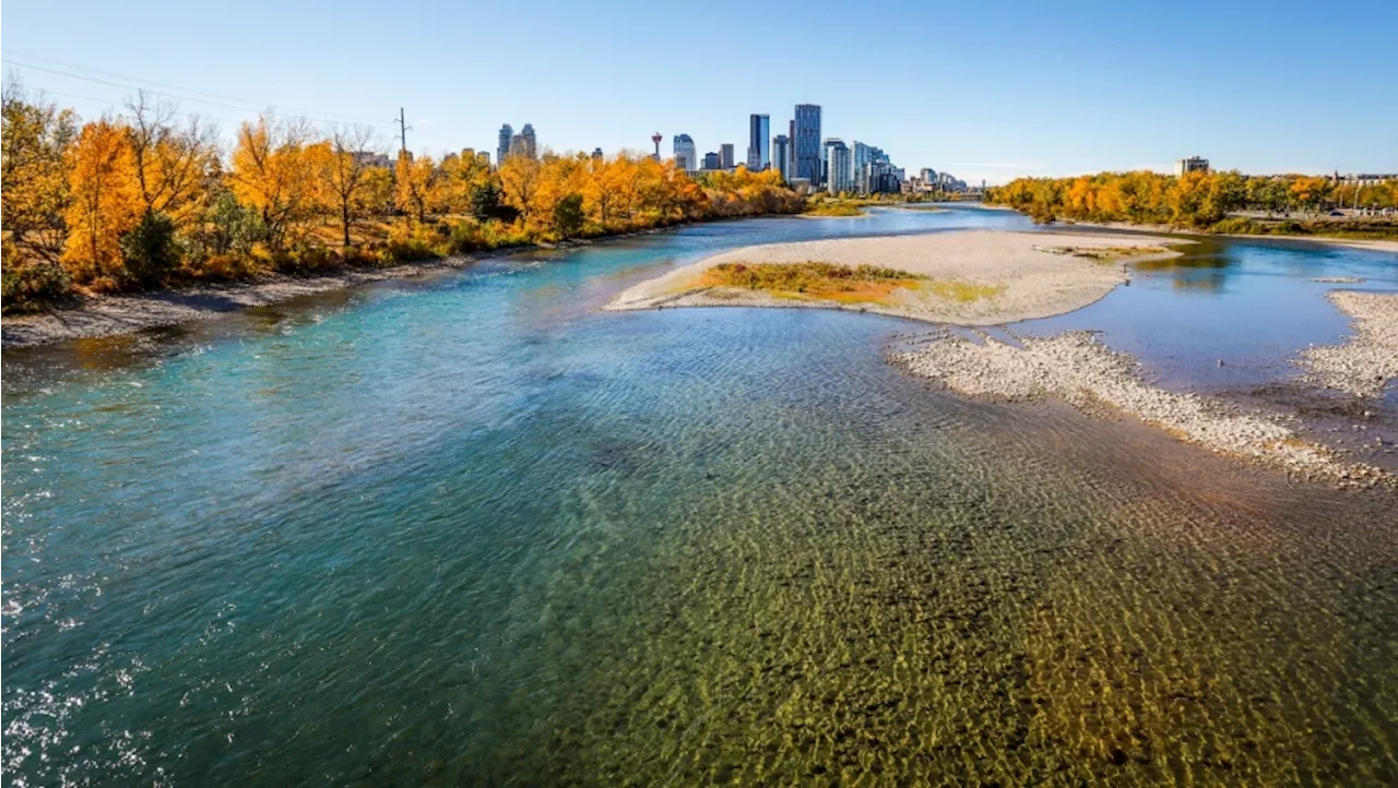 Calgary lifts outdoor water restrictions, encourages residents to be 'efficient'