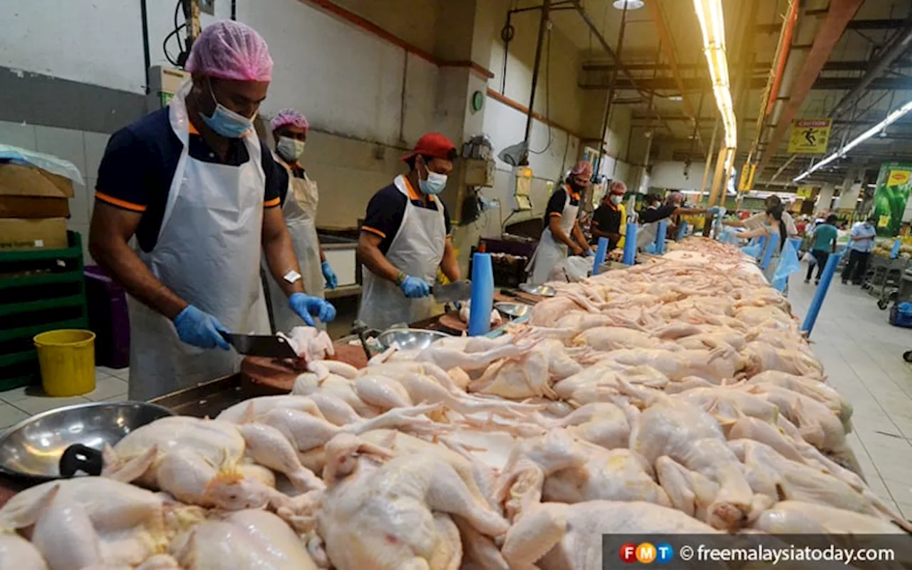 Subsidi ayam tamat, penjimatan RM100 juta bantu kerajaan tingkat usaha bantu rakyat