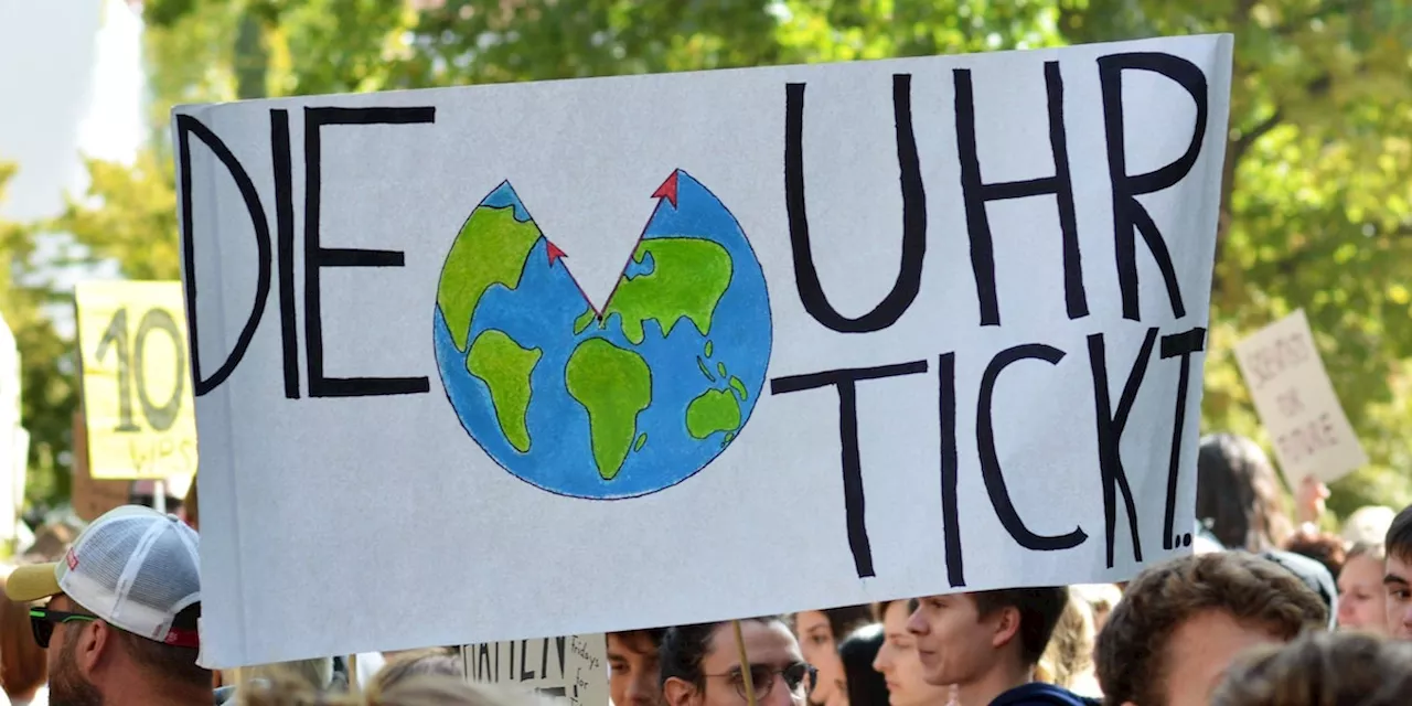 Greta Thunberg und Fridays For Future International zerstören Vertrauen in Klimabewegung