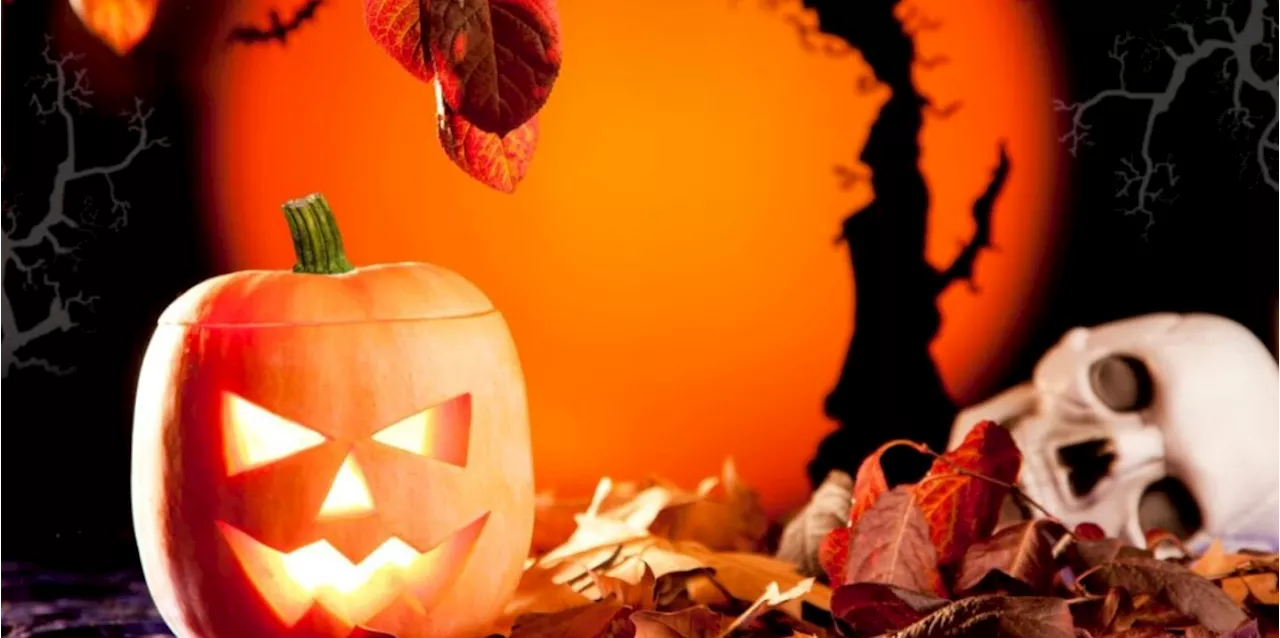 Halloween: Ursprung, Kritik und Traditionen