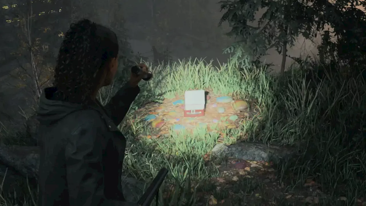 All Lunch Box Locations at Watery in Alan Wake 2