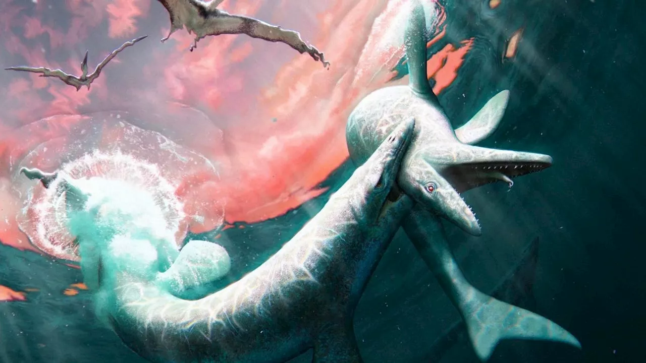 Meet Jormungandr, a 'Sea Dragon' From North Dakota