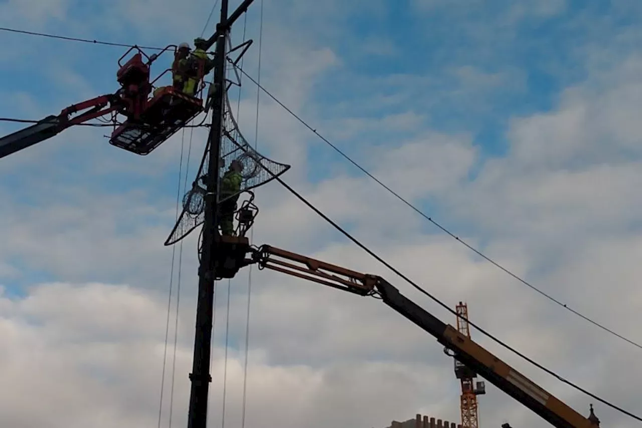 Switch on the lights event announced in Glasgow