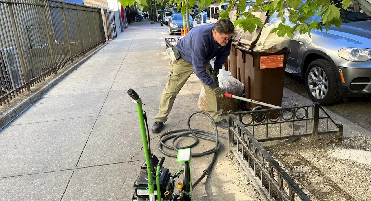 A new tactic killed ‘nearly 100%’ of rats on an Upper East Side street